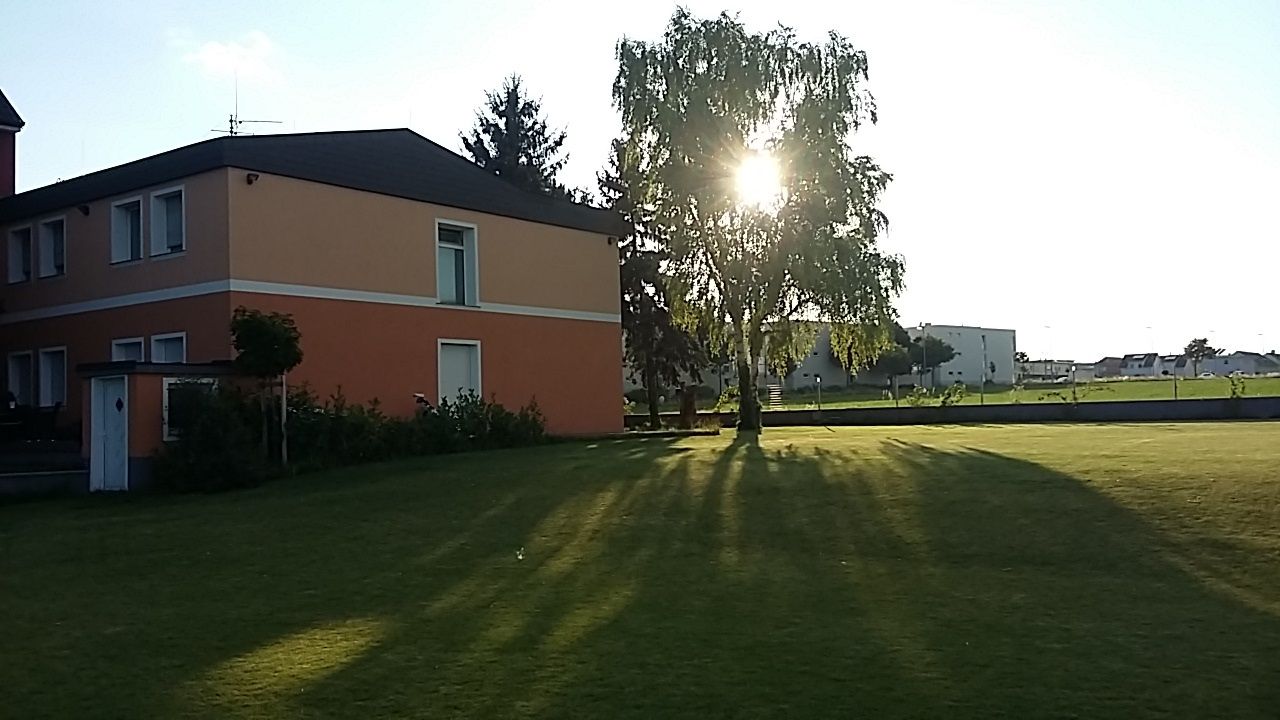 Zahrada