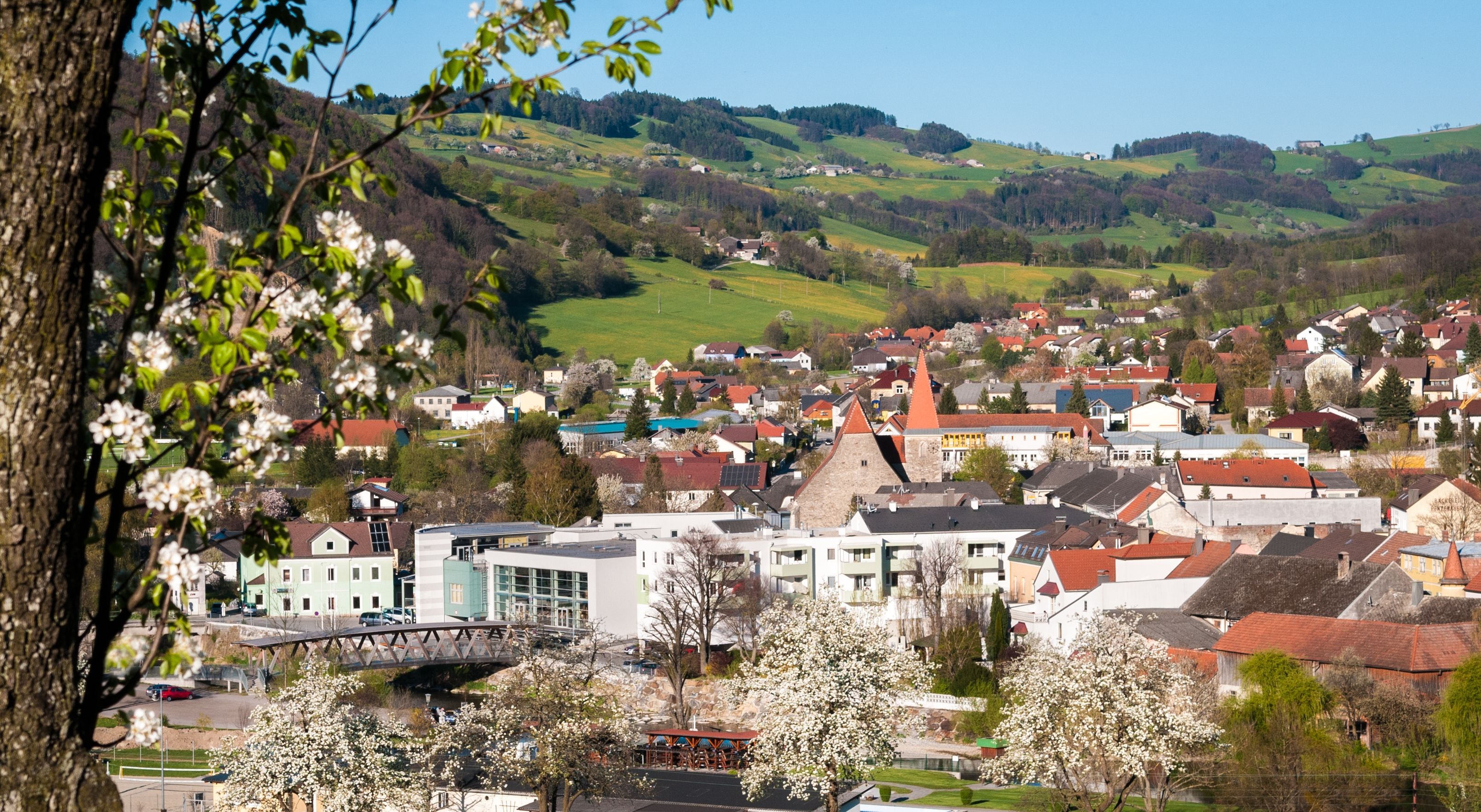 Panorama Rabensteinu s kvetoucími stromy v popředí a kopci v pozadí.
