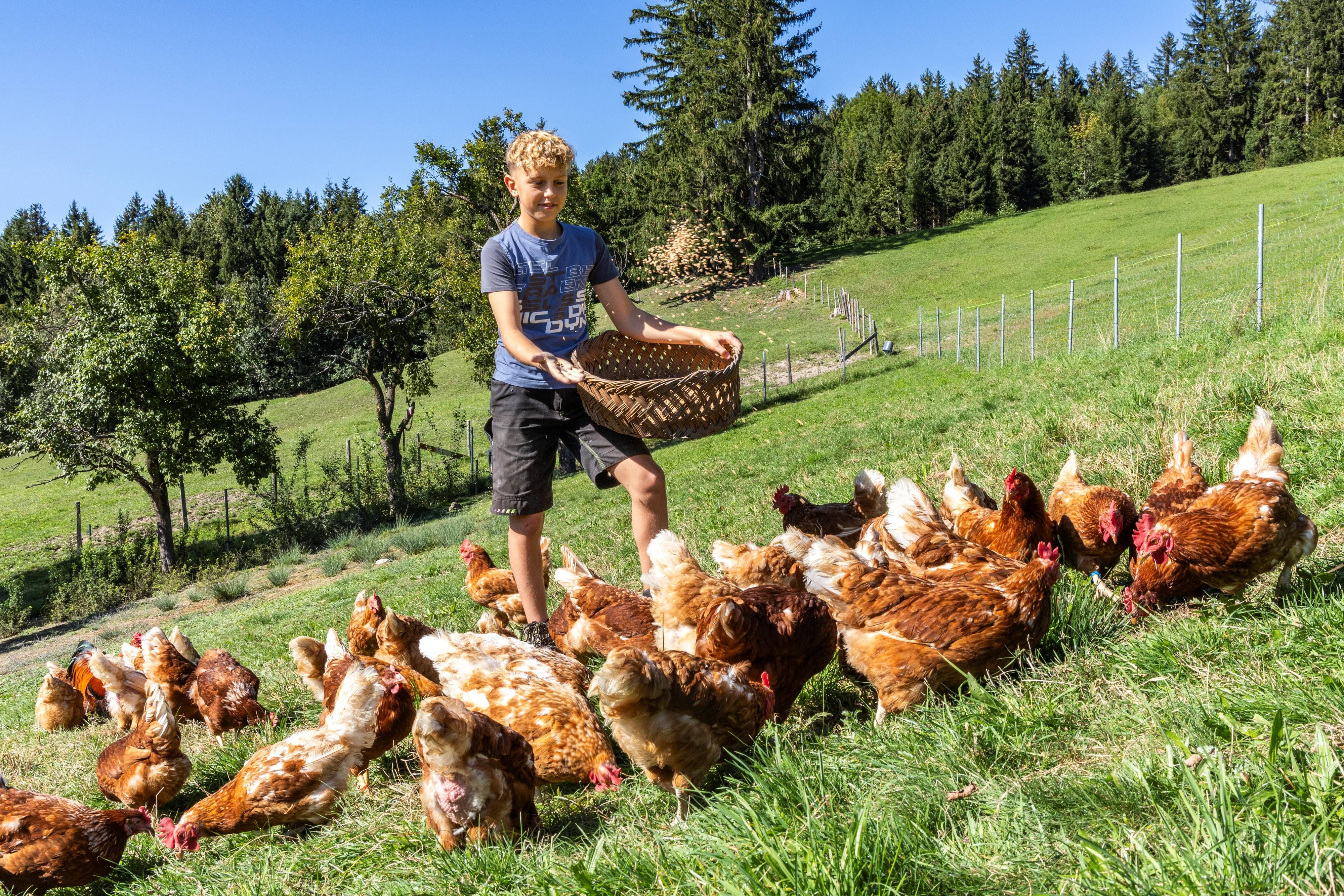 Ekologická farma Krottensee