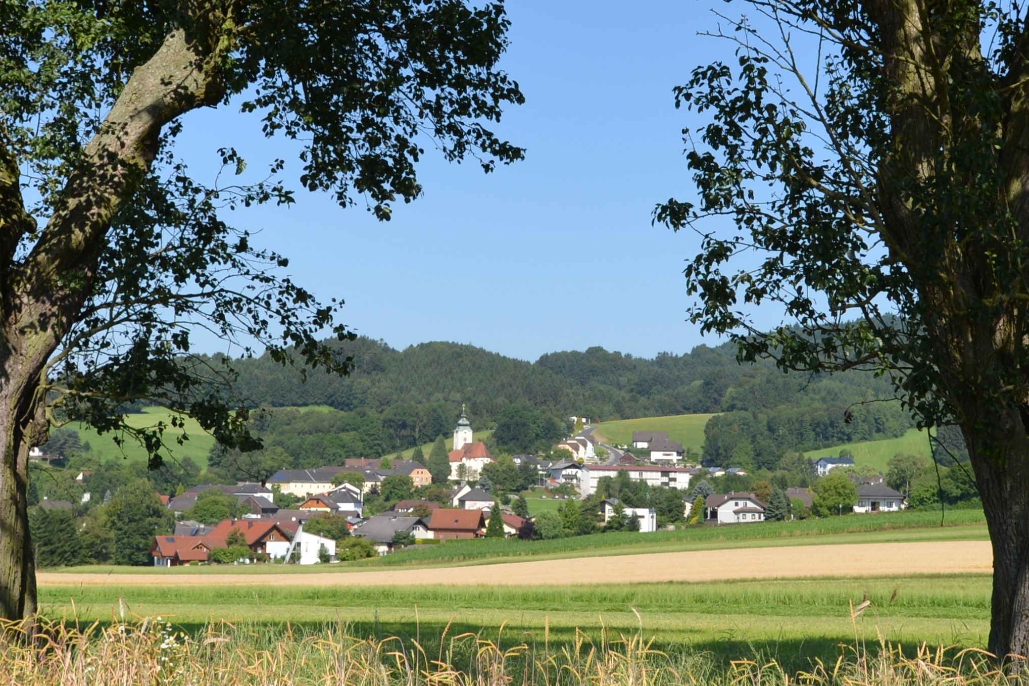 Krajina s vesnicí a kostelem v pozadí, rámovaná stromy.