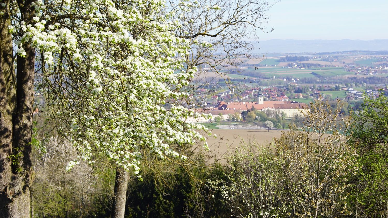 Turistická stezka Trefflingblick
