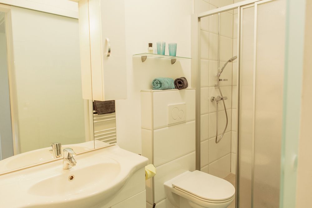 Moderní koupelna se sprchovým koutem, umyvadlem a toaletou.