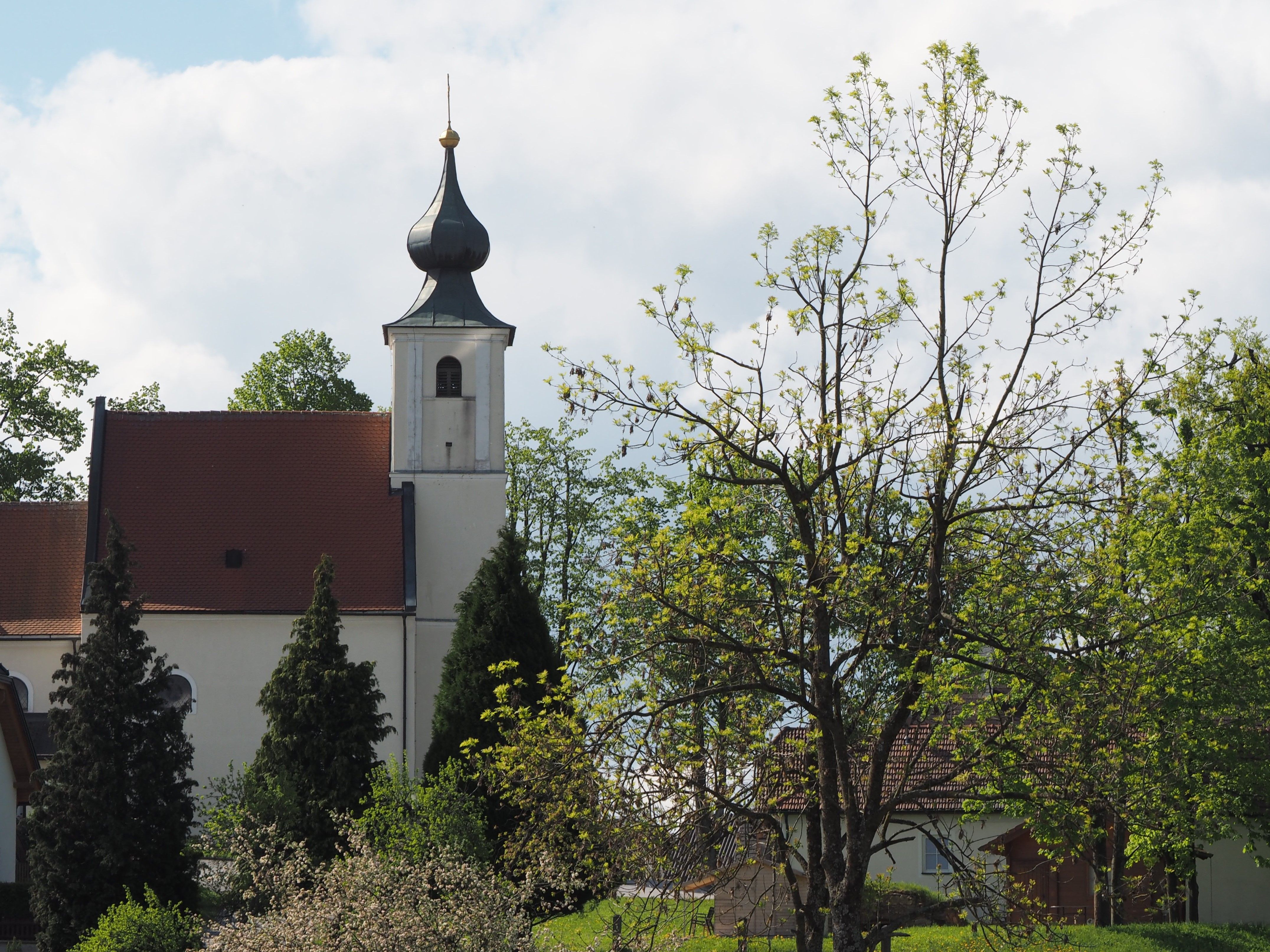 Kostel s cibulovou kopulí a stromy v popředí.