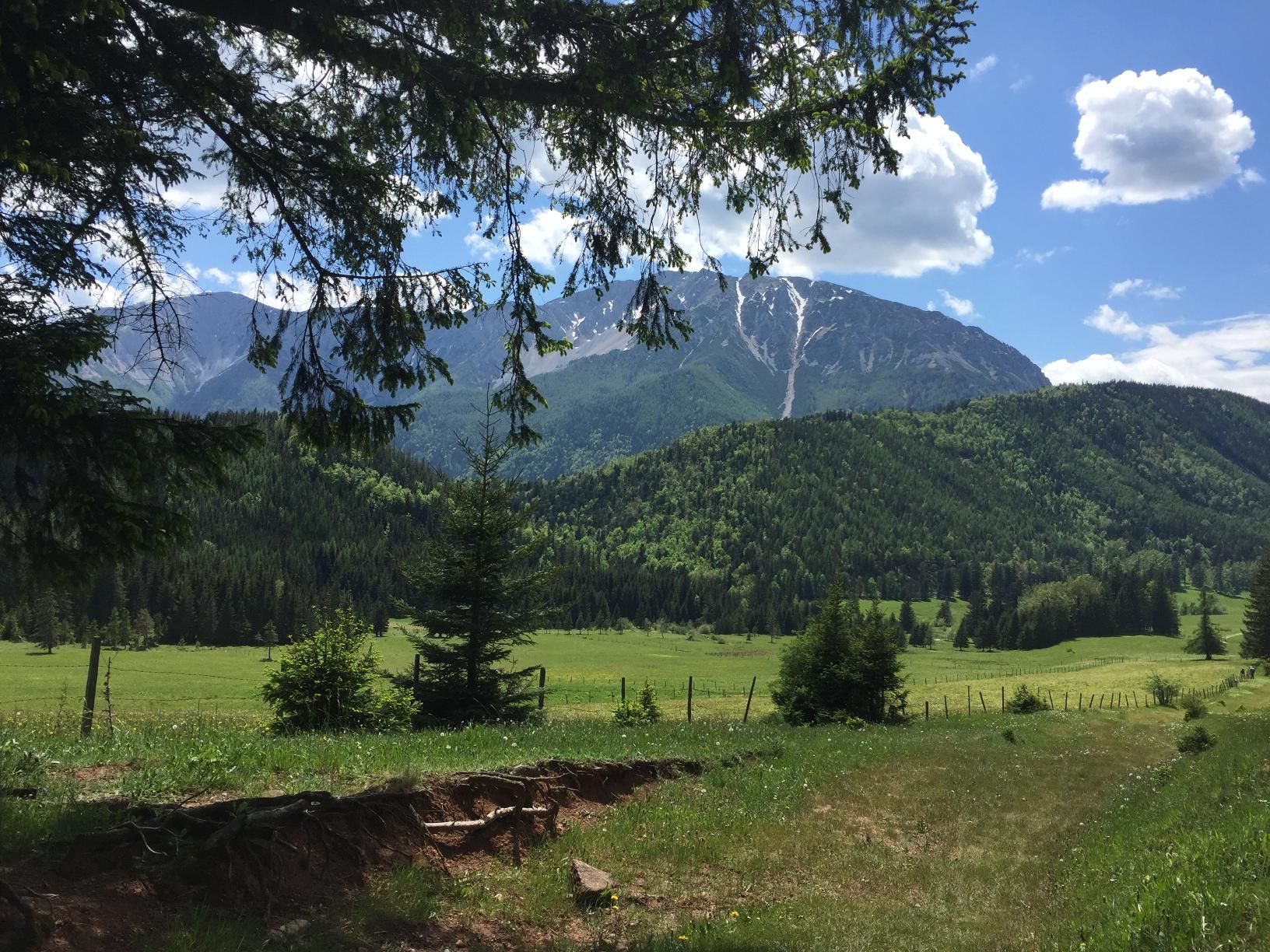 Trasa na Schneeberg