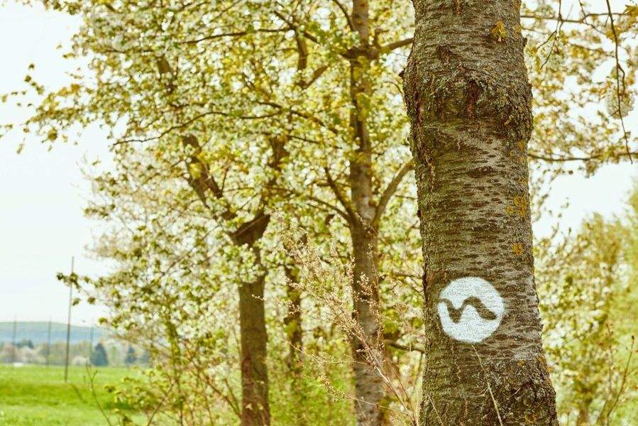 Barevné značení na Weitwanderwegen Nibelungengau