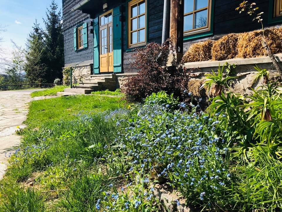Dům se zelenými okenicemi a dřevěnou verandou, obklopený kvetoucími pomněnkami a zelenou vegetací.