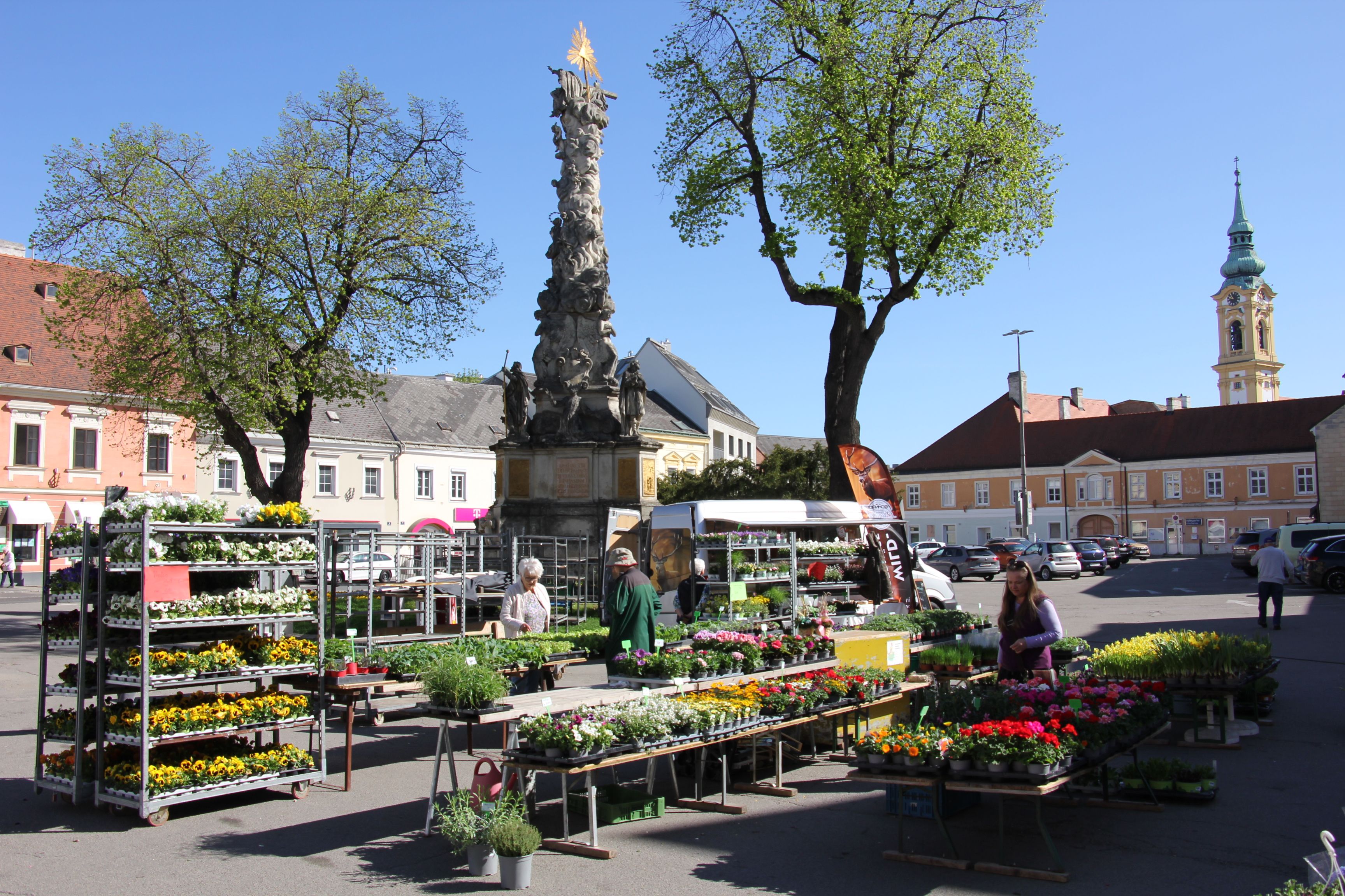 Týdenní trh ve Stockerau se stánky s květinami a barokním sloupem v pozadí.