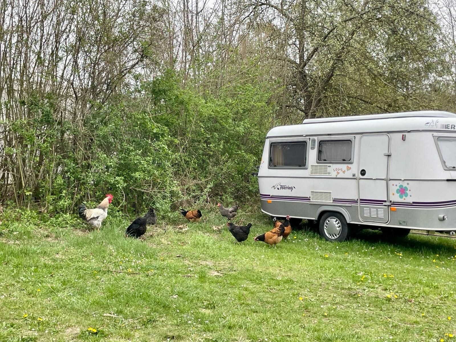 Camping-Finsterhof
