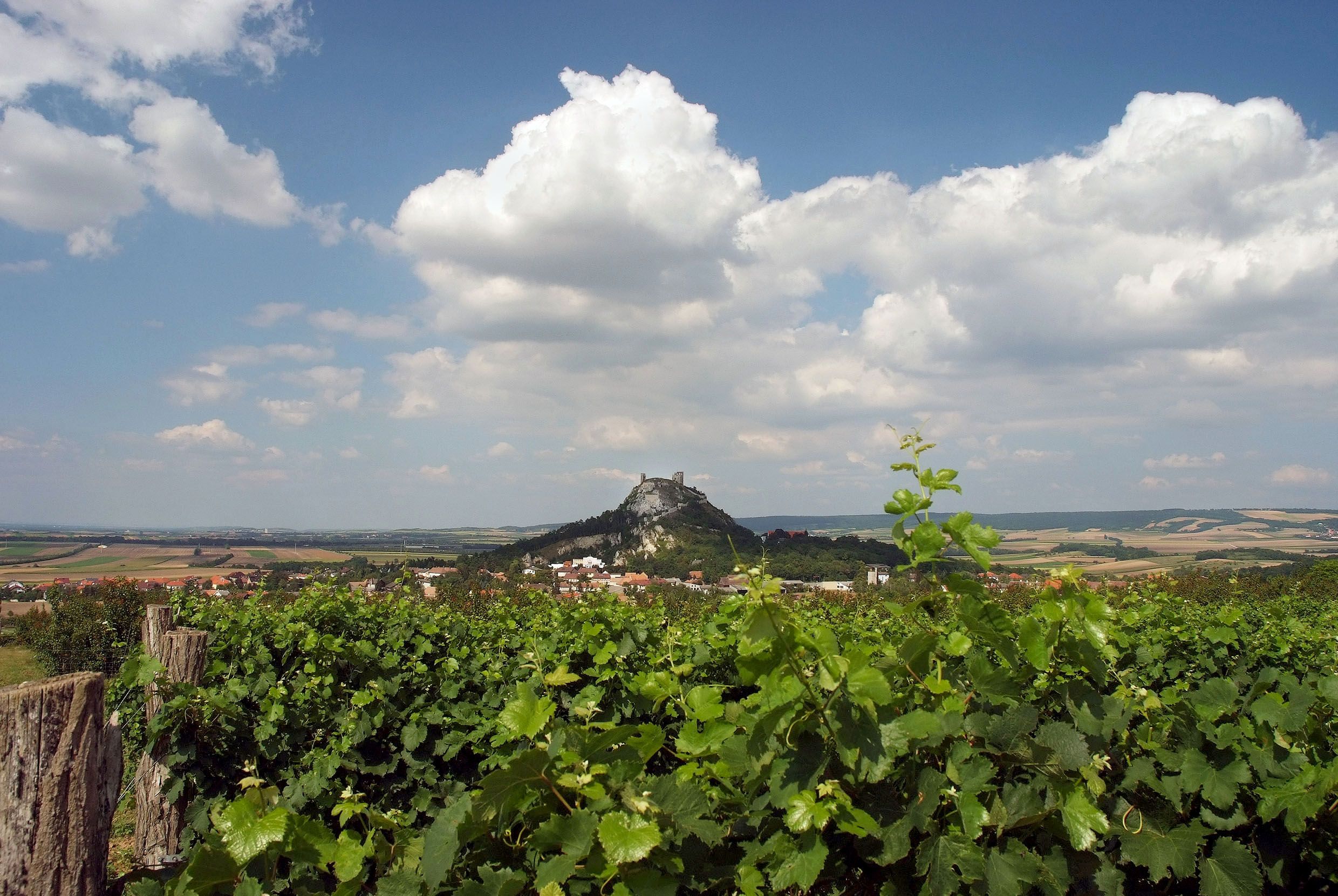 Pohled na Staatzer Berg se zříceninami, obklopený vinicemi a poli pod modrou oblohou s mraky.