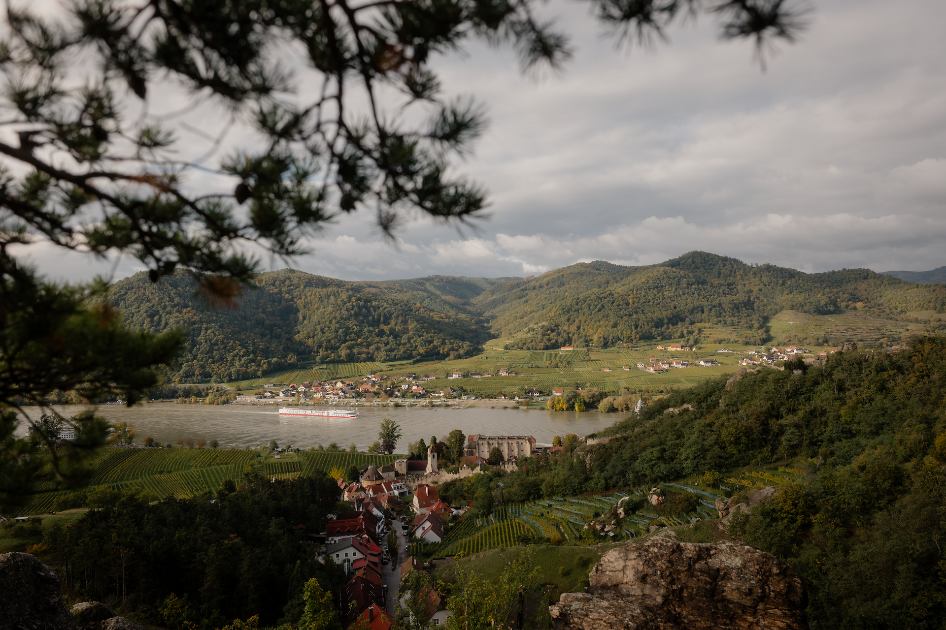 Aussicht über das Donautal mit Fluss, Ort und Weingärten; im Vordergrund rahmen Äste und Felsen den Blick auf die bewaldeten Hügel.