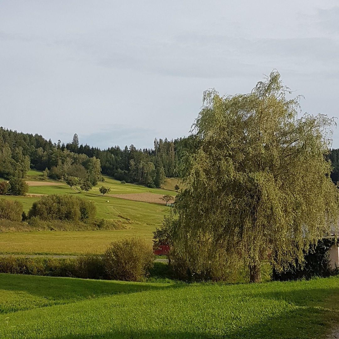 Vesnická stezka