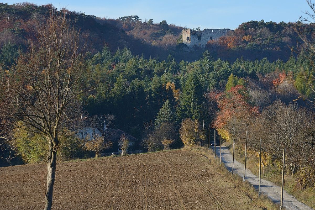 Pohled na zříceninu Merkenstein
