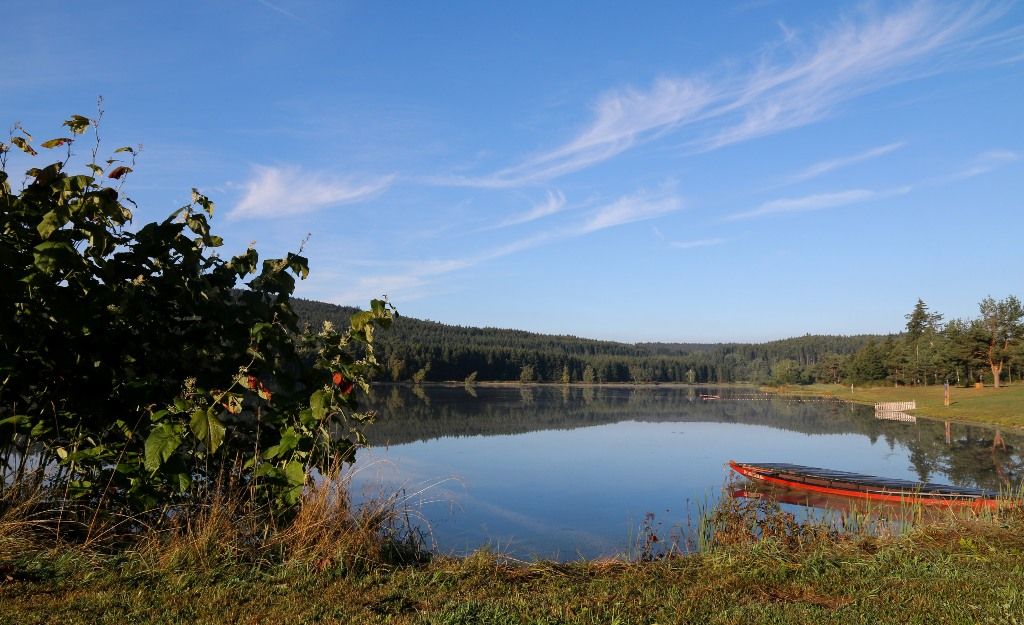 frauenwieserteich-c-broederbauer-qalter14