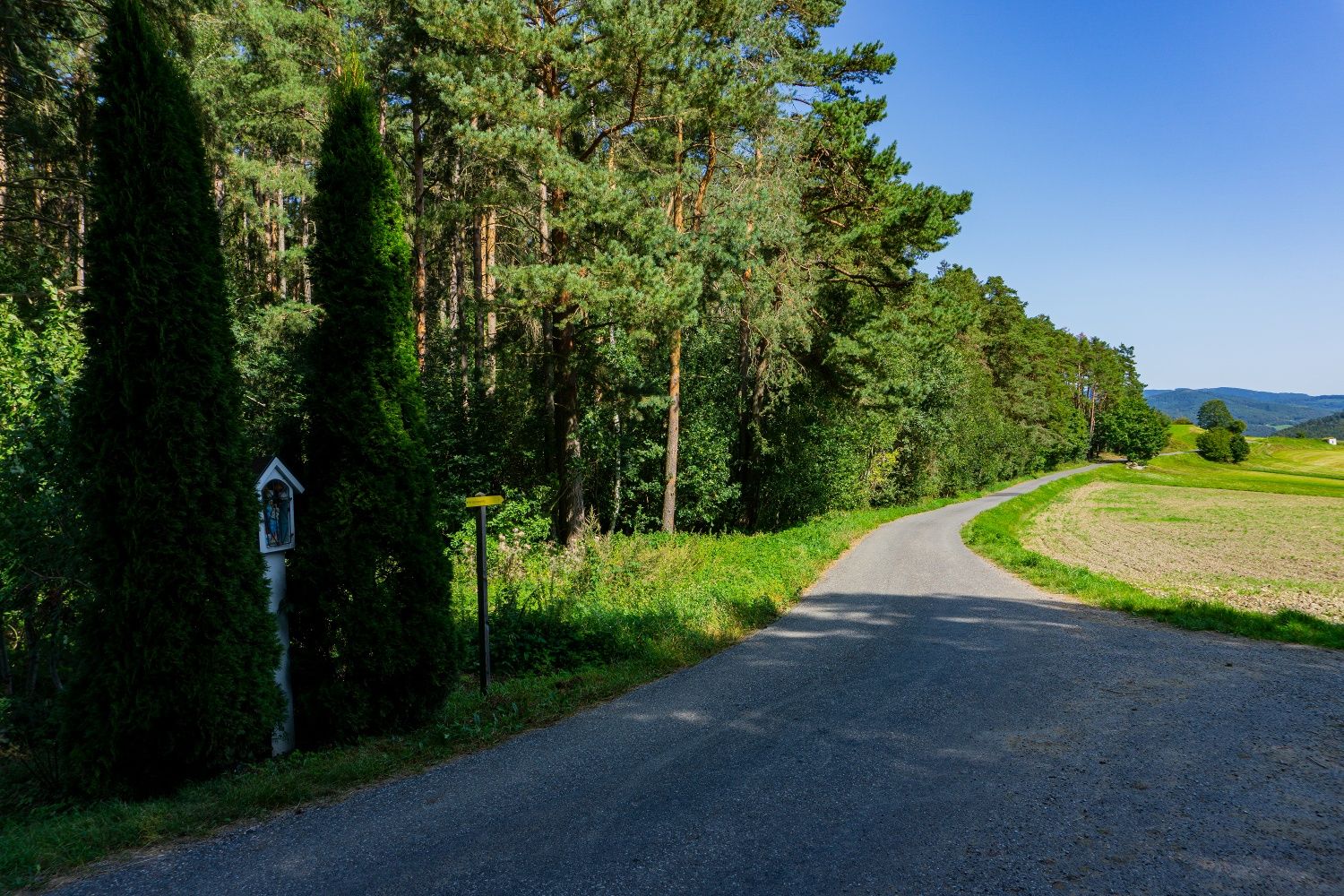 Směr Jasenegg