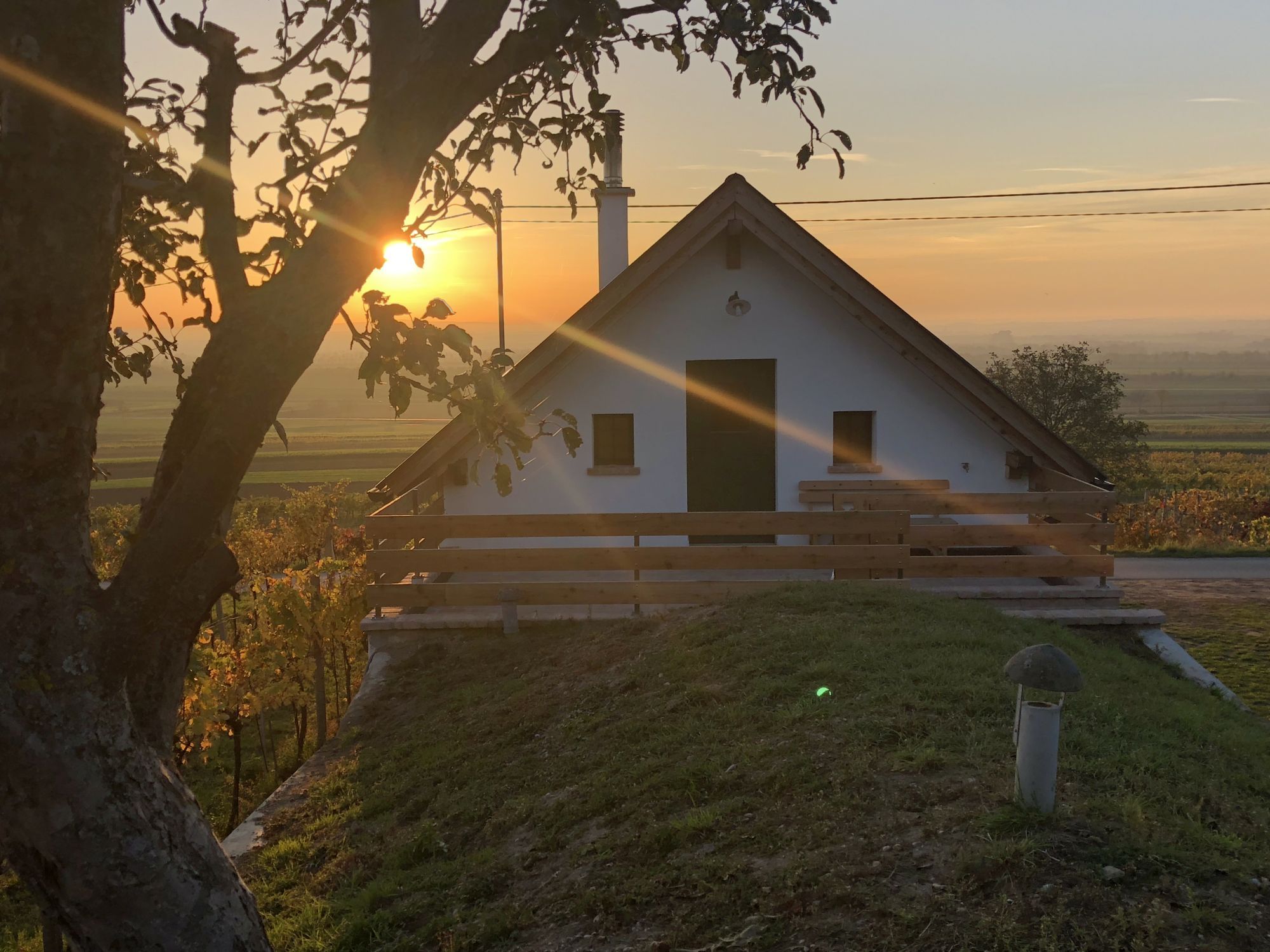 Malý domek při západu slunce se stromem v popředí.