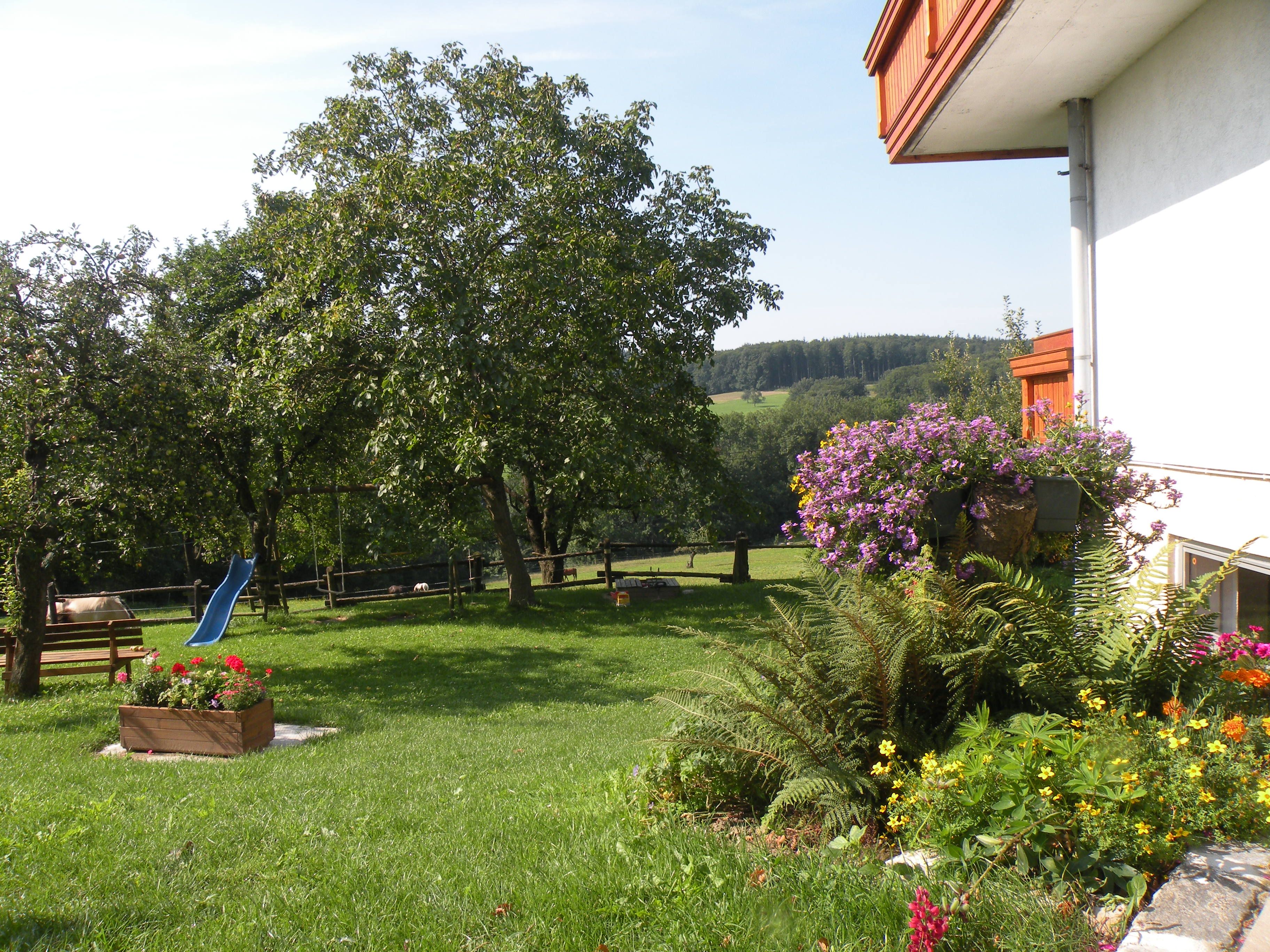 Zelená zahrada se stromy, květinami a modrou skluzavkou.