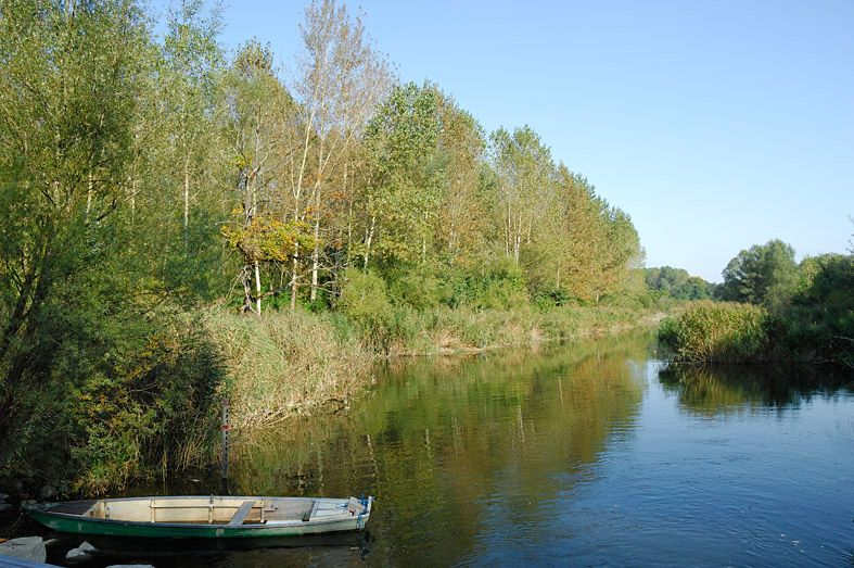 Klidná řeka s malou loďkou na břehu, obklopená hustým lesem a jasnou oblohou.