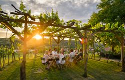 Sklepní uličky s vinnými sklepy a vinnou révou, modrá obloha.