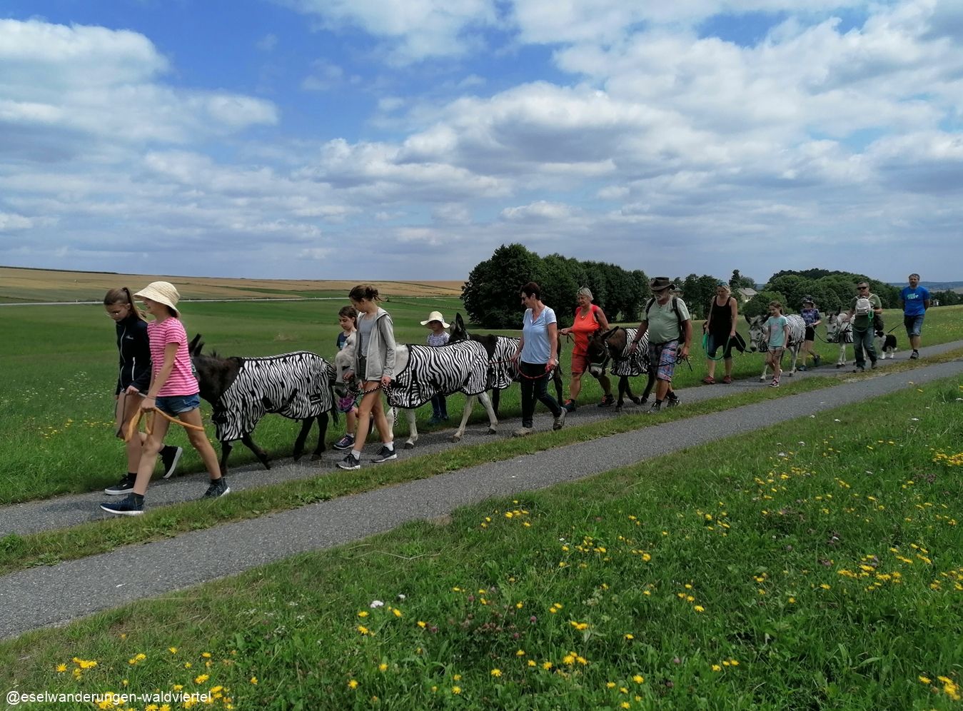 Trekking na oslu