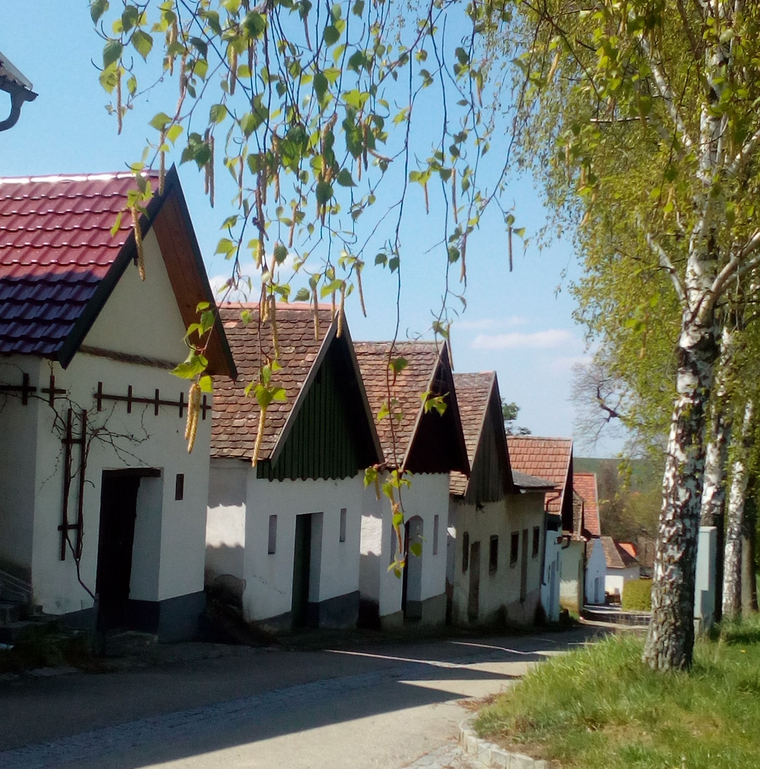 Řada tradičních vinných sklepů v Kammersdorfu, obklopená stromy a modrou oblohou.