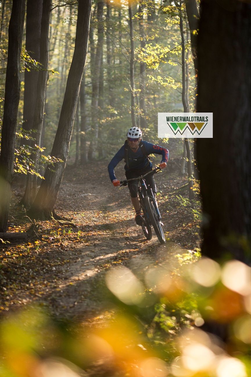 MTB Vídeňský les