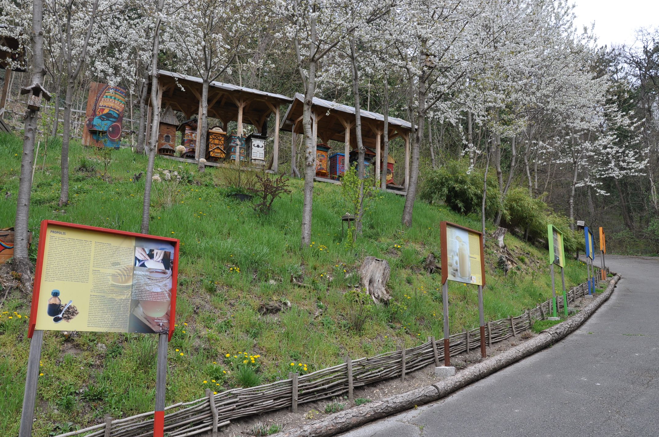 Naučná včelí stezka s informačními tabulemi a úly pod kvetoucími stromy.