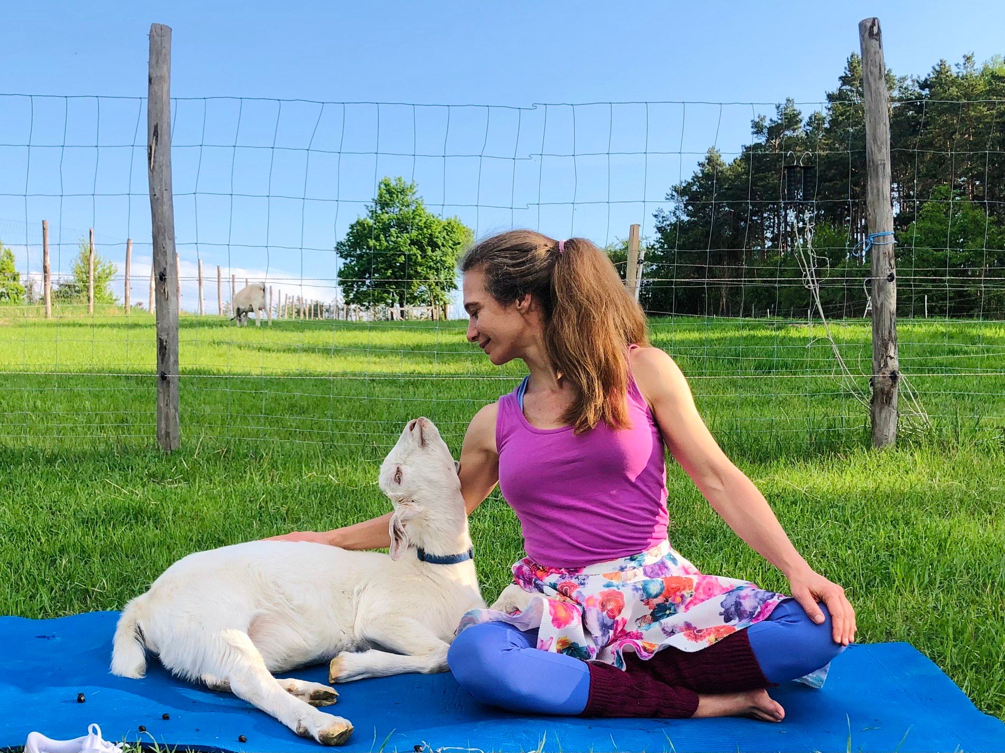 Žena v barevném oblečení sedí na louce vedle kozy.
