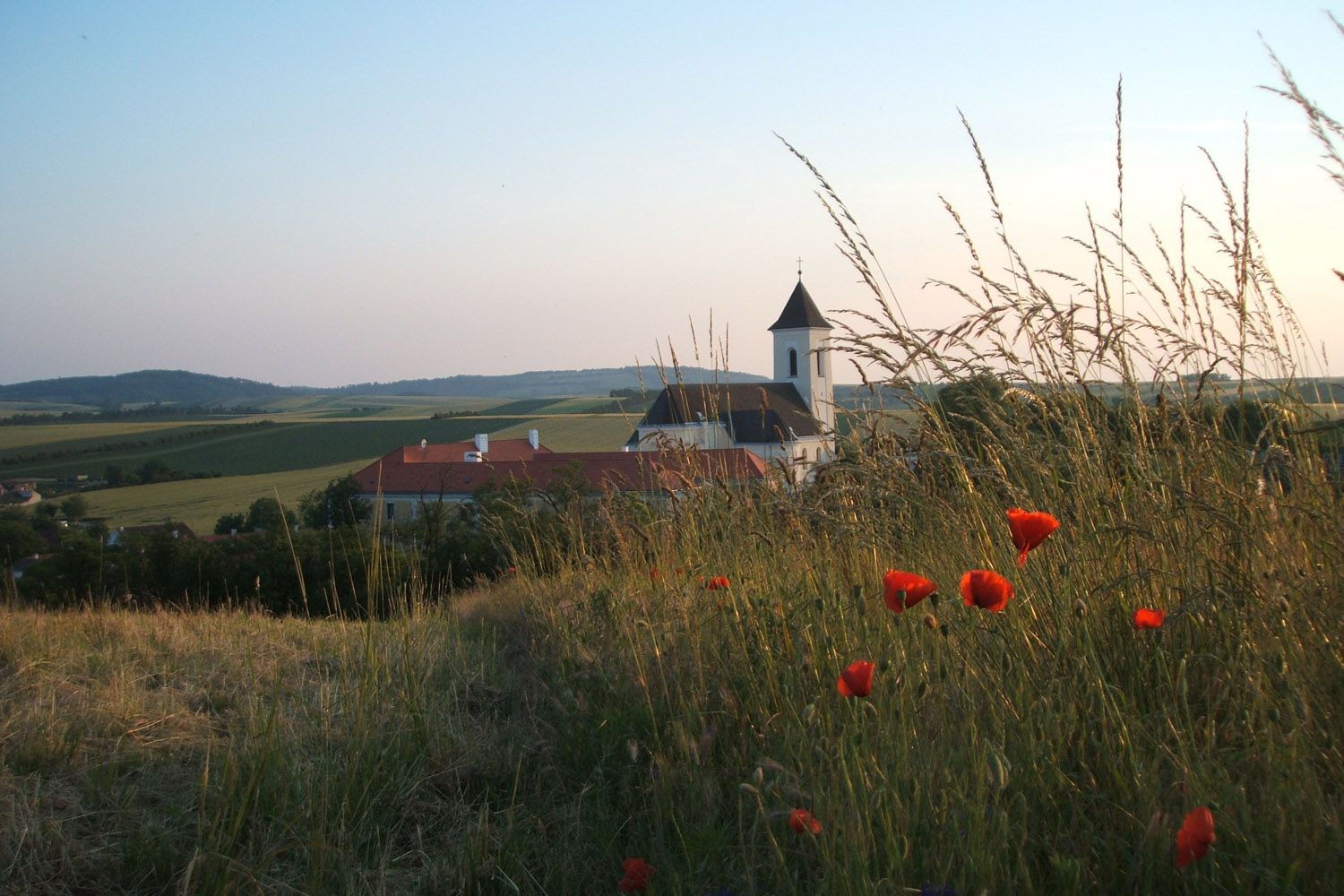 Krajina s kostelem a máky v popředí.