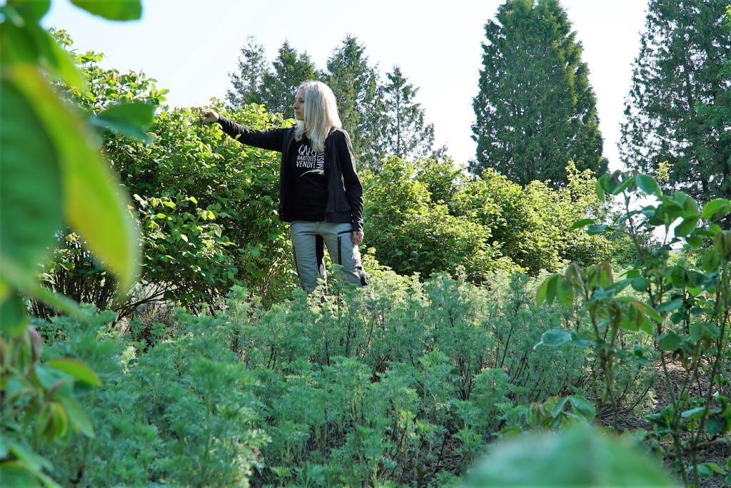 Pravé ze země 