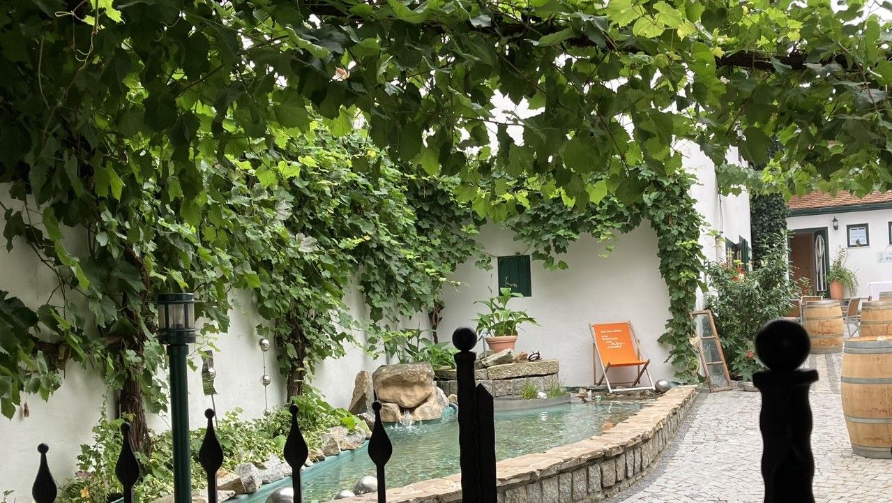 Vnitřní dvůr s vinnou révou, malým jezírkem a lehátkem.