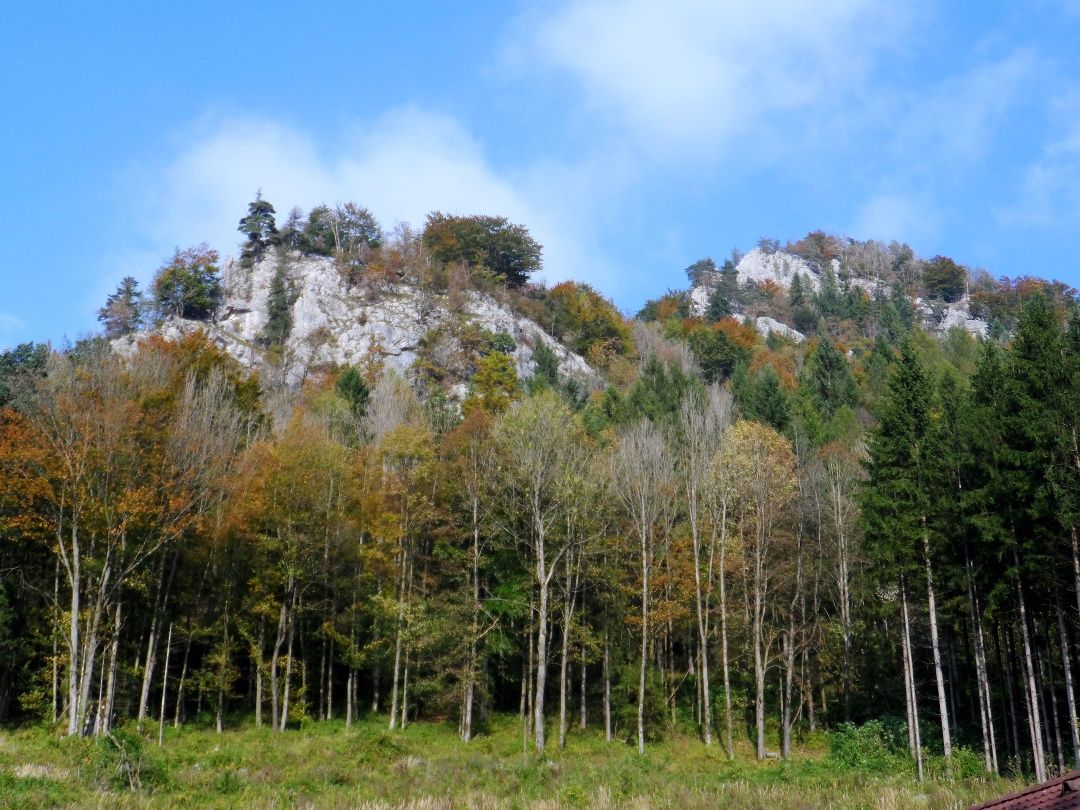 Pohled na Prochenberg