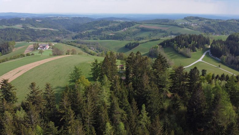 Krajina s kopci, lesy a poli směrem k jižnímu Burgenlandu a východnímu Štýrsku.