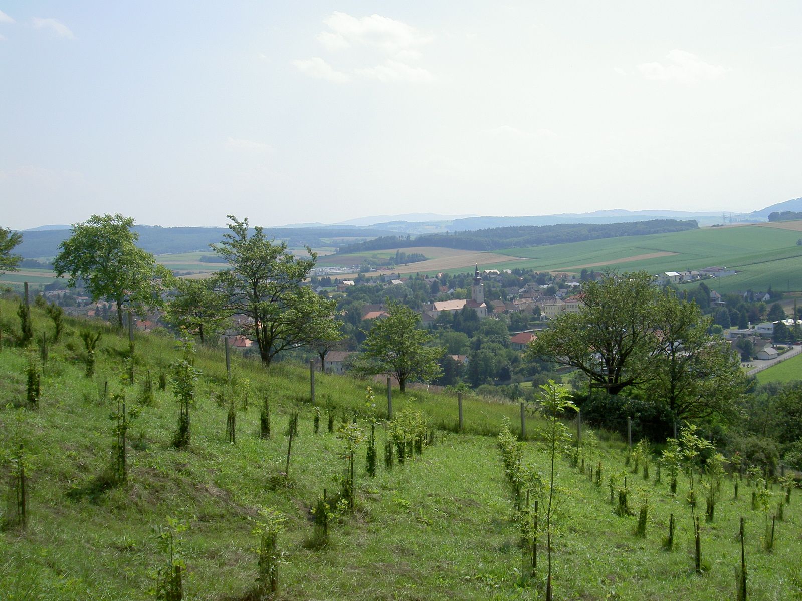 Krajina s kopci, stromy a vesnicí v pozadí.