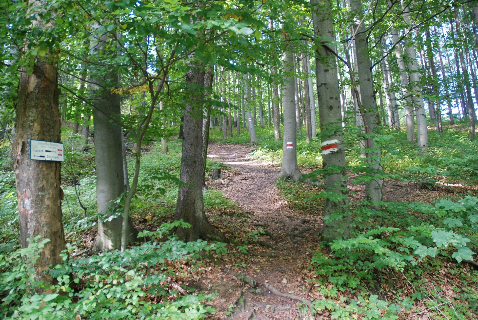 Wieshofer Steig