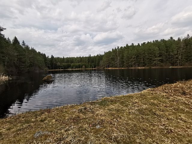 Jelení rybník