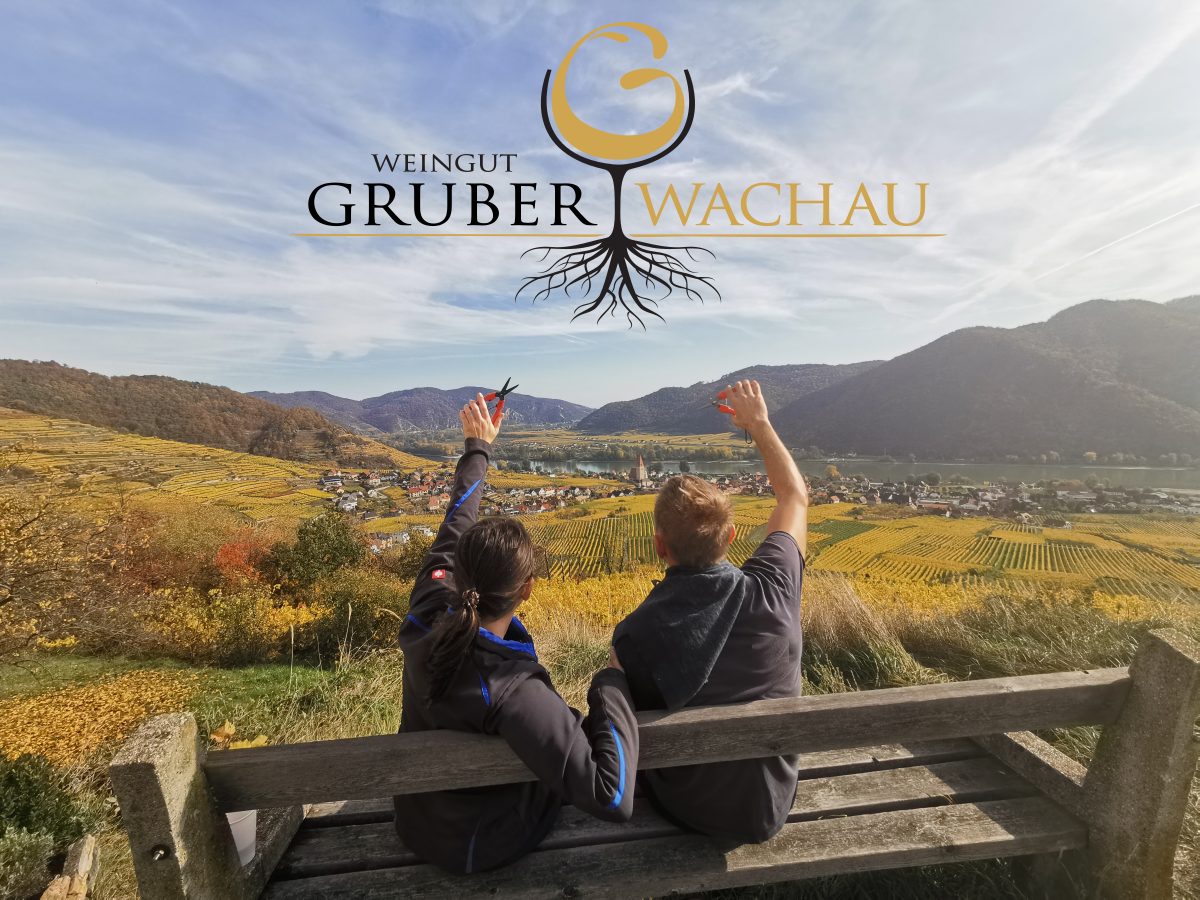 Dva lidé sedí na lavičce a dívají se na vinice ve Wachau. V pozadí jsou vidět kopce a řeka.