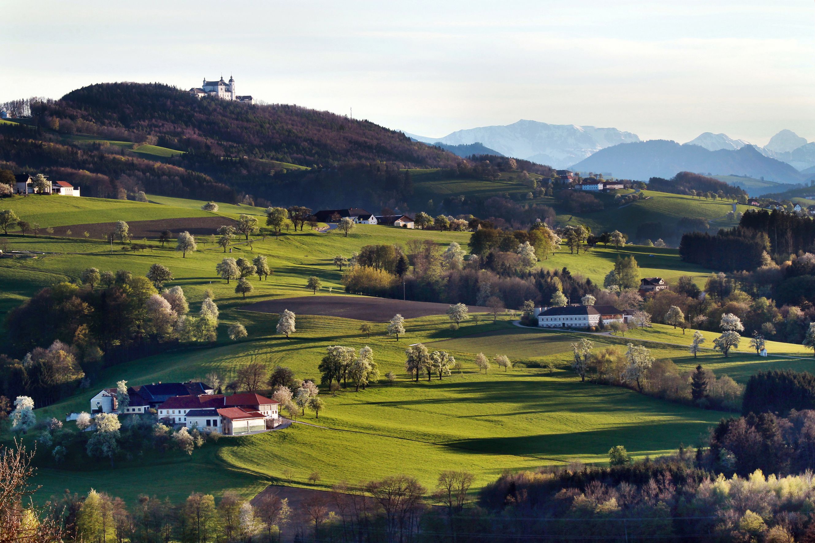 Bazilika Sonntagberg