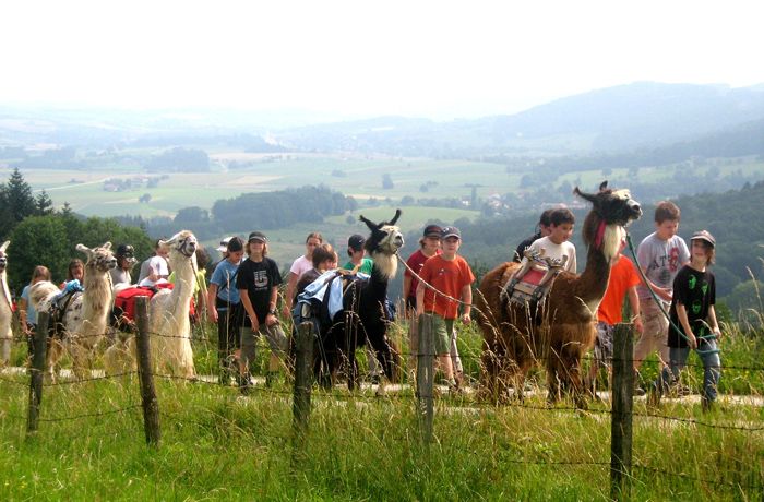 Skupina lidí a lam na turistické stezce s krajinou v pozadí.