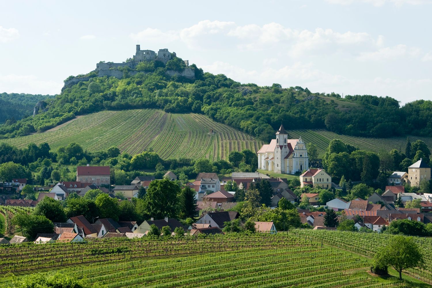 Pohled na zříceninu hradu Falkenstein na kopci, obklopenou vinicemi a vesnicí s kostelem.