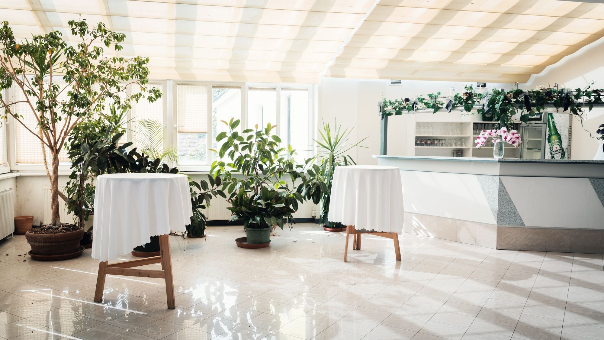 Světlá místnost s rostlinami, dvěma barovými stoly s bílými ubrusy a barem v pozadí.