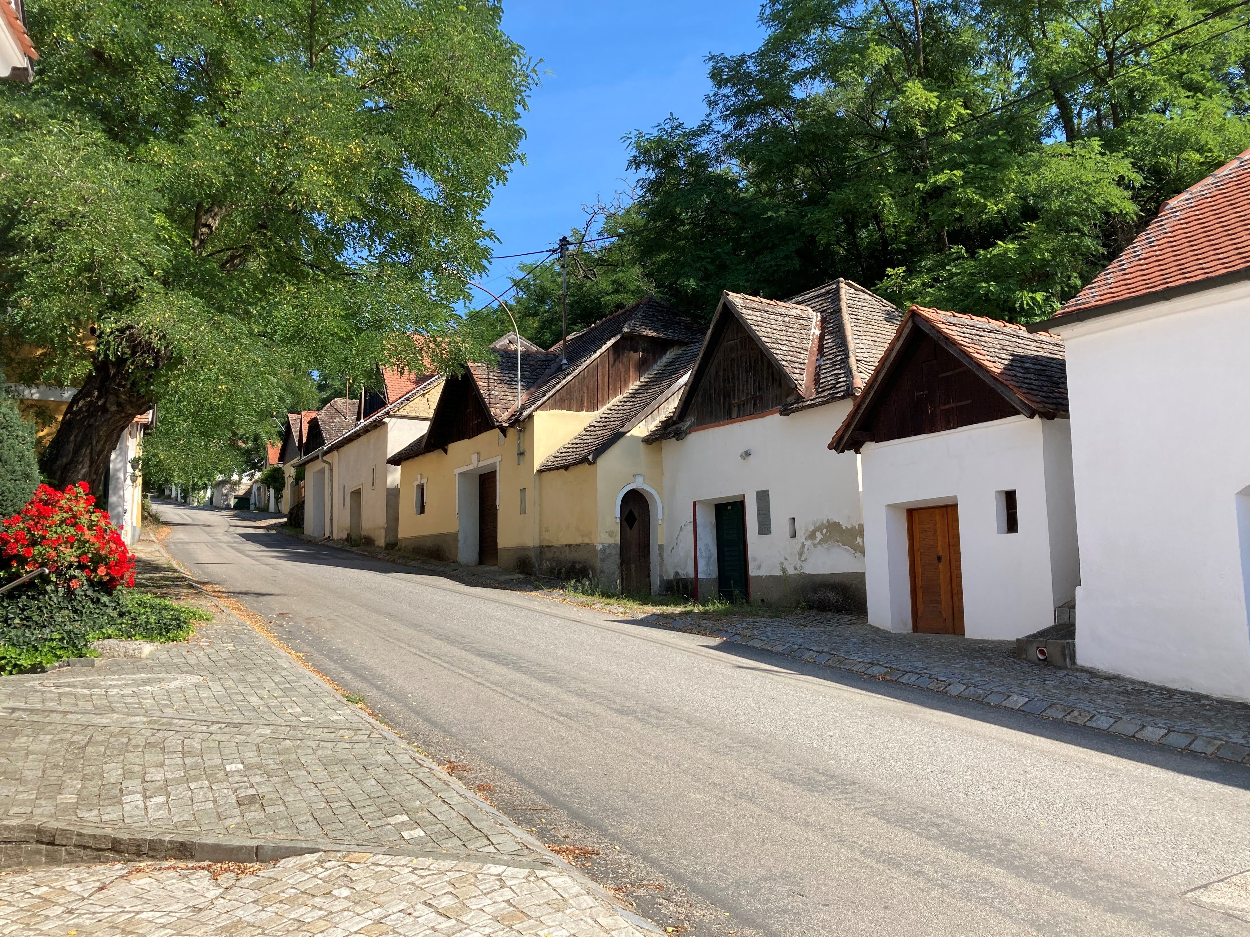 Ulice se starými domy a stromy ve vesnici.