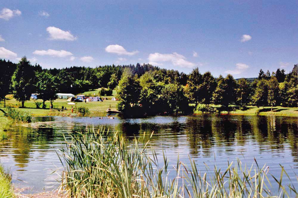 Idylický kemp se stany na břehu jezera, obklopený stromy a loukami pod modrou oblohou.