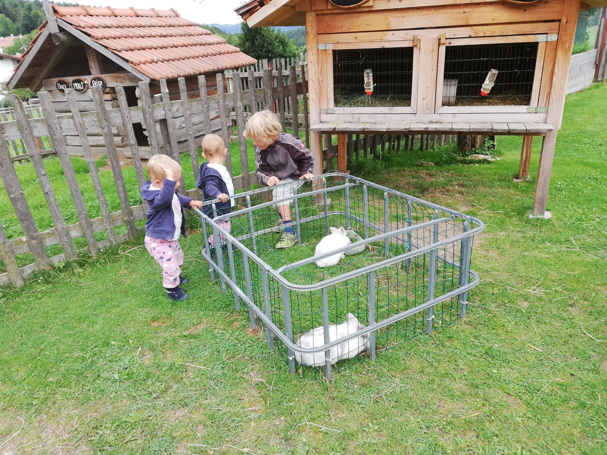 Tři děti stojí vedle malé ohrady s bílými králíky na louce.