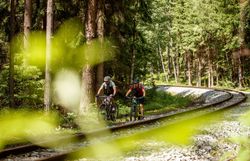 Inmitten der üppigen Wälder des Waldviertels radeln zwei Abenteurer entlang der stillen Gleise der Waldviertelbahn. Die sanften Hügel und das Spiel von Licht und Schatten schaffen eine einladende Atmosphäre, die zum Entdecken einlädt. Hier, wo die Natur und die Geschichte aufeinandertreffen, wird jede Fahrt zu einem unvergesslichen Erlebnis.