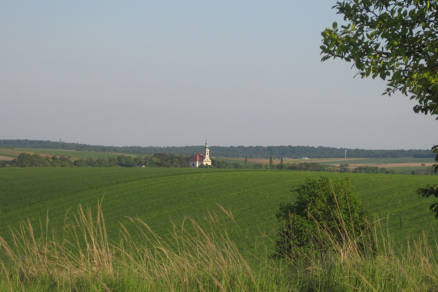 Krajina s kostelem v dálce, obklopená zelenými poli a stromy.
