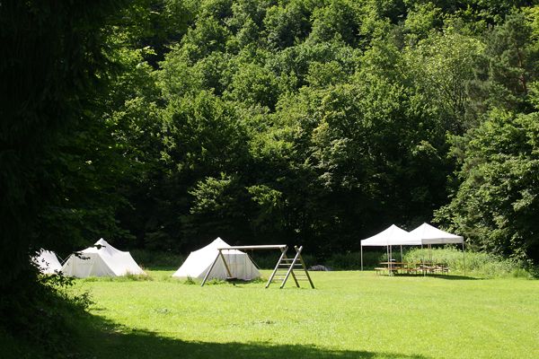 Stany a pavilon na zelené louce před lesem.