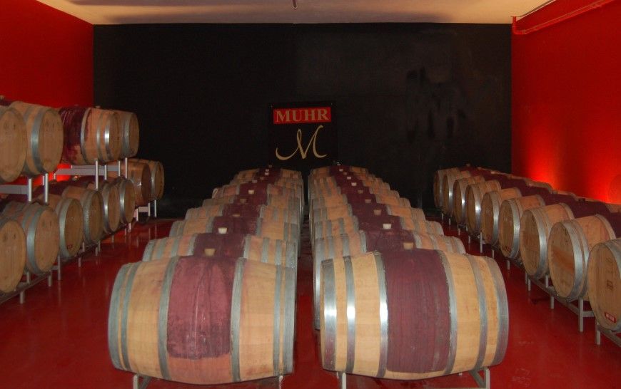 01-cellar_1