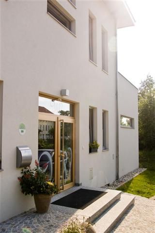 Vchod do moderní budovy se skleněnými a dřevěnými dveřmi, květinami v květináči a schody.