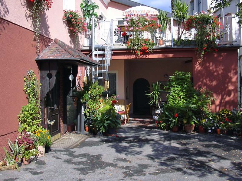 Vchod do penzionu se spoustou rostlin a květin.