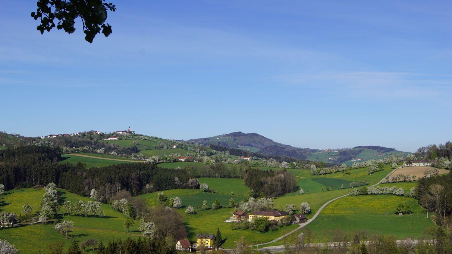 Panoramatický pohled na Trefflingblickweg